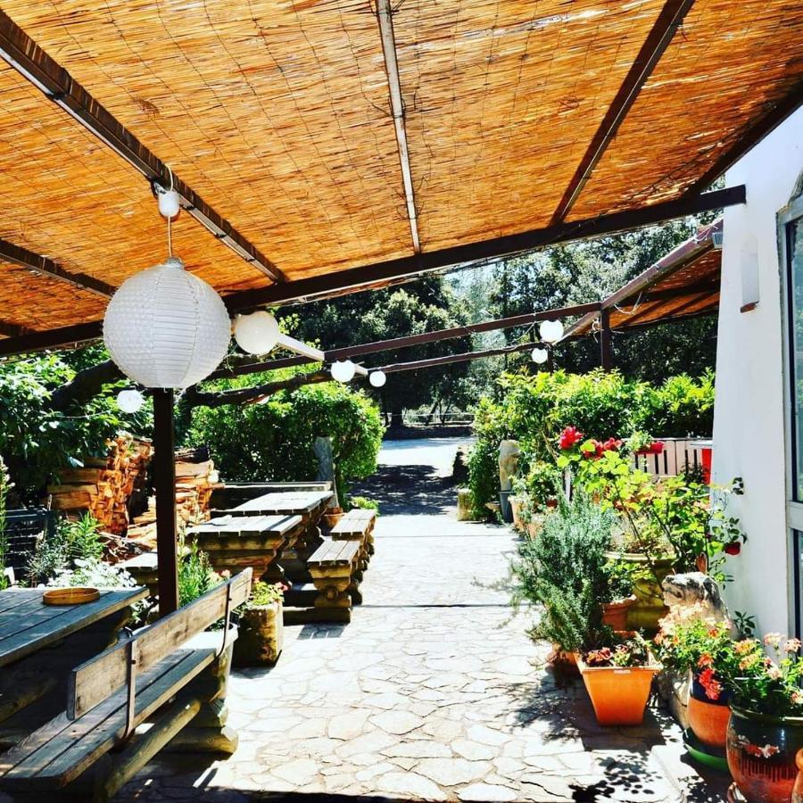 Domaine Du Berange Otel Saint-Geniès-des-Mourgues Dış mekan fotoğraf